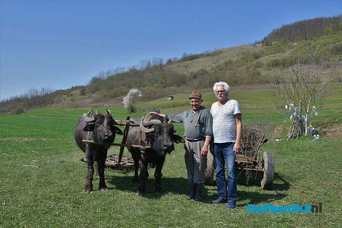 Reisverslag dag 4 Roemenië - Foto: Johan Bokma