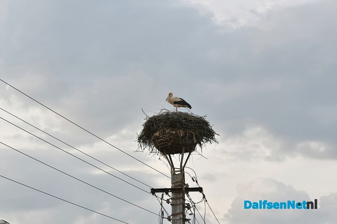 Reisverslag dag 4 Roemenië - Foto: Johan Bokma