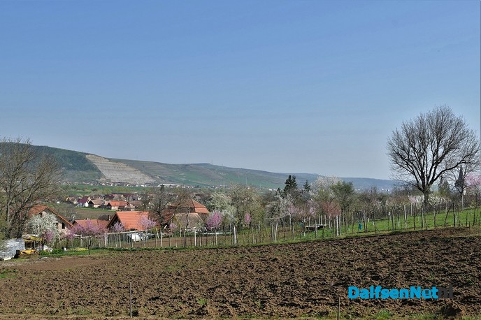 Reisverslag dag 5 Roemenië - Foto: Johan Bokma