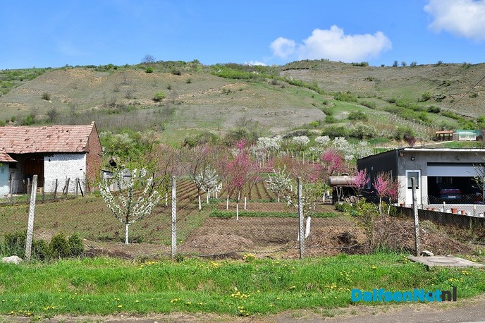 Reisverslag dag 7 Roemenië - Foto: Johan Bokma