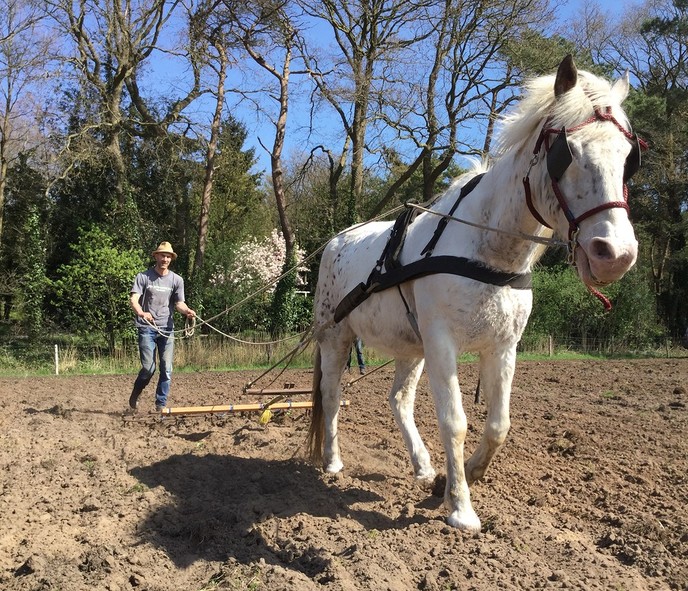 Met één PK het land op - Foto: Eigen geleverde foto