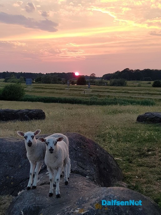 Ons mooie dorpje D - Foto: Ingezonden foto