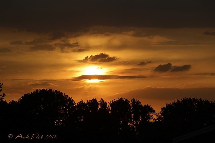 Foto van de maand van Ank - Foto: Ank Pot