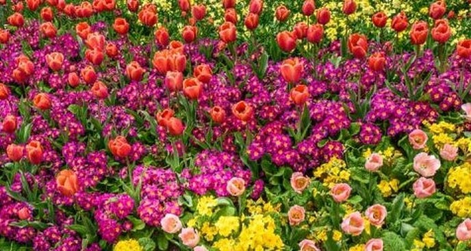 Hoonhorst en Wythmen 3 mei in kleur