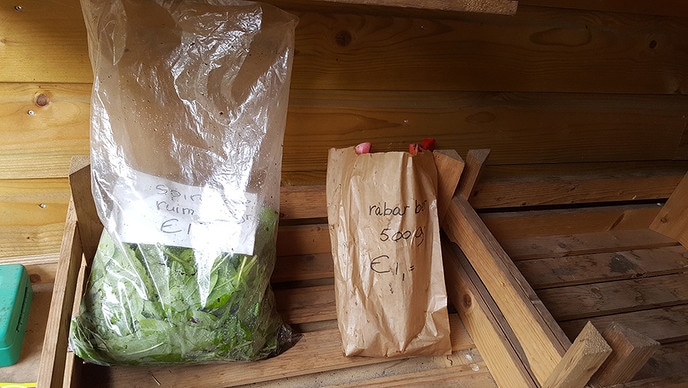Natuurboerderij Lindehoeve heeft weer groente - Foto: Eigen geleverde foto