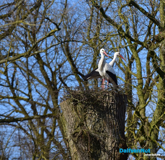 Havezate de Leemcule geopend tijdens de Dag van het Kasteel - Foto: Johan Bokma