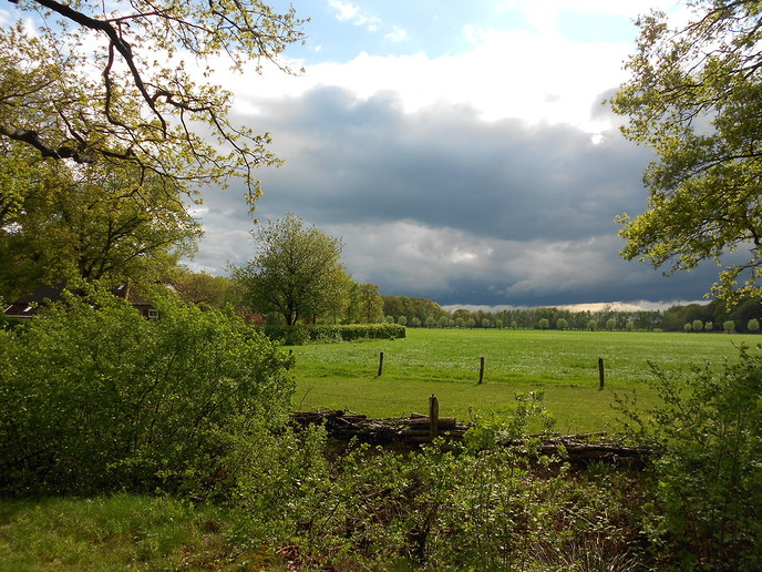 Natuur verandert met de dag