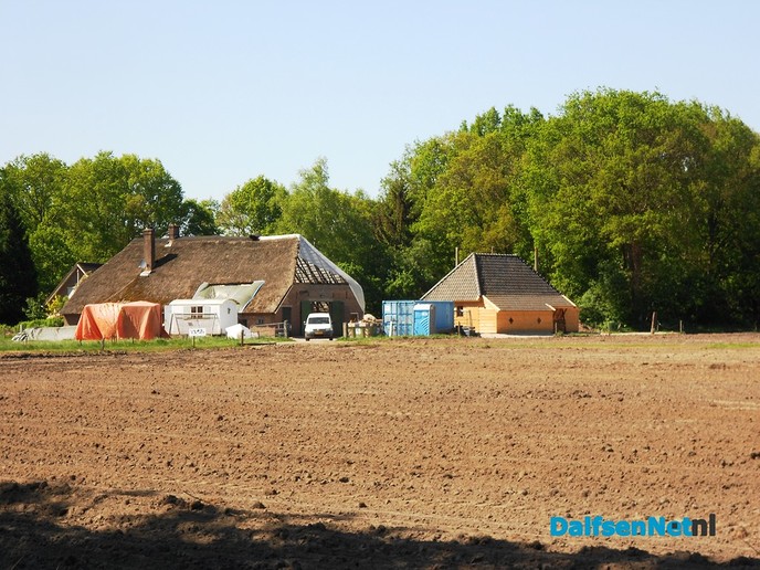 Perfect weer om met een rieten dak bezig te gaan