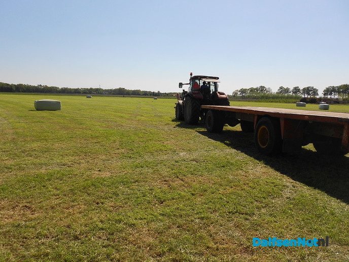 Eerste hooi oogst
