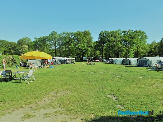 Dalfser campings doen prima zaken