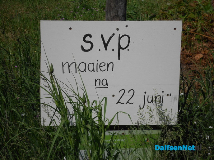 Nog niet maaien aub - Foto: Eigen geleverde foto