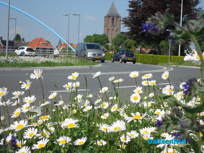 Dalfsen staat in volle bloei