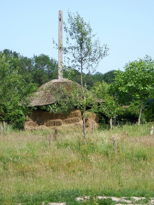 Ooievaars in Emmen