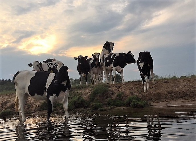 Ingezonden mooi weer foto - Foto: Eigen geleverde foto