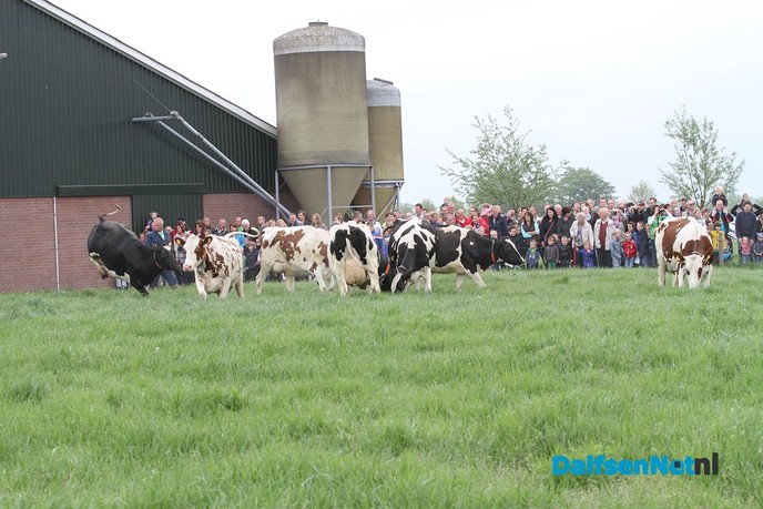 Vliegende koeien op open dag - Foto: Ingezonden foto