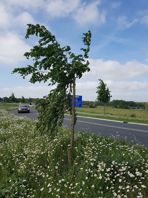 Heeft u iets gezien? - Foto: Gemeente Dalfsen