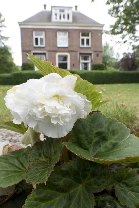Het Hospice Dalfsen staat er weer mooi bij… - Foto: Geert Bistervels
