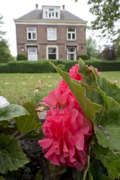 Het Hospice Dalfsen staat er weer mooi bij… - Foto: Geert Bistervels