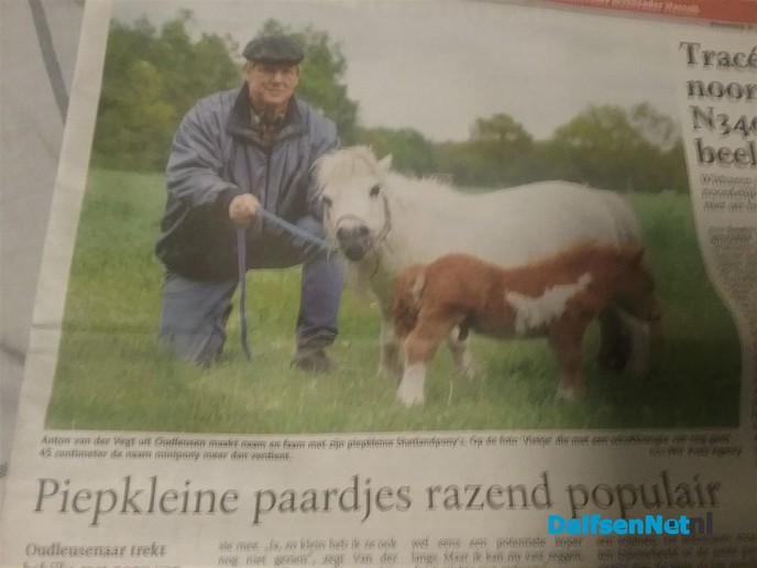 Veulentje ” Ini ” is geboren