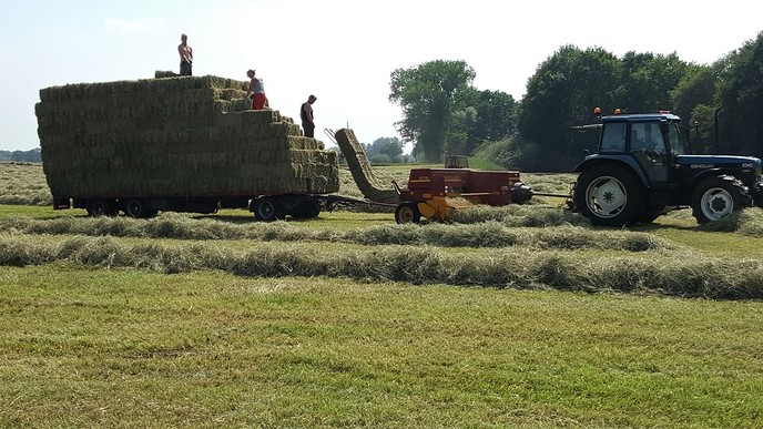 Hooien in het Vechtdal - Foto: Eigen geleverde foto