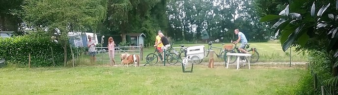 Veel belangstelling voor ini miny pony - Foto: Eigen geleverde foto