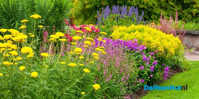 Enquête Leefbaarheid Bloemenbuurt Dalfsen - Foto: Ingezonden foto