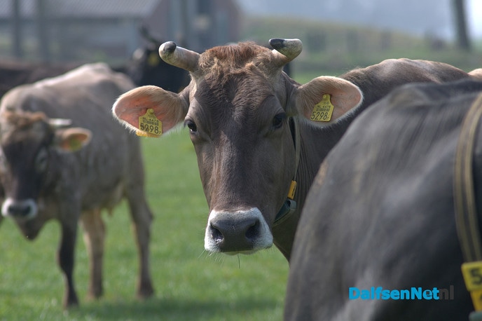 Open dagen bij Landjuweel “de Hoeven” in Dalfsen - Foto: Ingezonden foto
