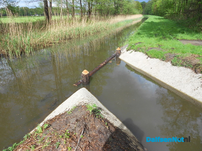 Het wordt steeds mooier