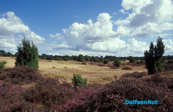 Inloopbijeenkomst natuurherstel Lemelerberg 13 juni - Foto: Ingezonden foto
