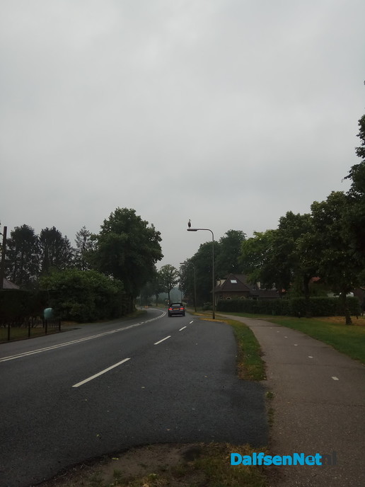 Ooievaar gespot op een lantaarnpaal - Foto: Ingezonden foto