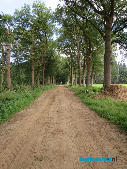 Groot onderhoud aan de Bergerallee. - Foto: Wim