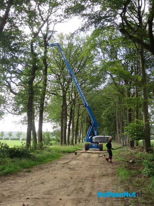 Groot onderhoud aan de Bergerallee. - Foto: Wim