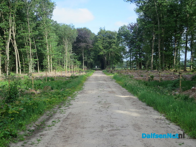 Groot onderhoud aan de Bergerallee. - Foto: Wim