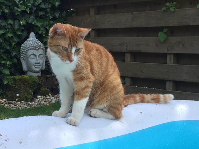 Tommie is inmiddels terecht, Kai nog niet - Foto: Eigen geleverde foto