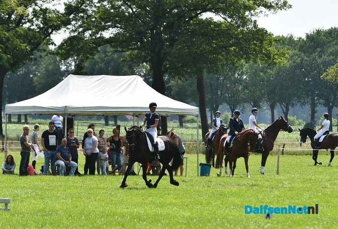 Concours Heideruiters, The day after ! ! ! - Foto: Johan Bokma