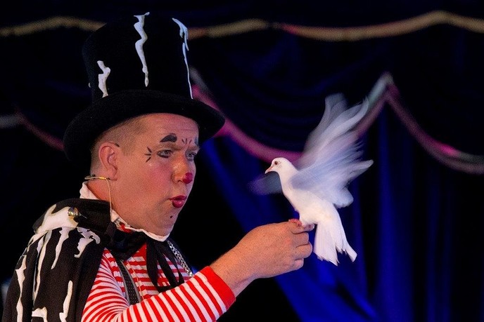 Vrienden van Rosengaerde bieden circusvoorstelling aan - Foto: Geert Bistervels