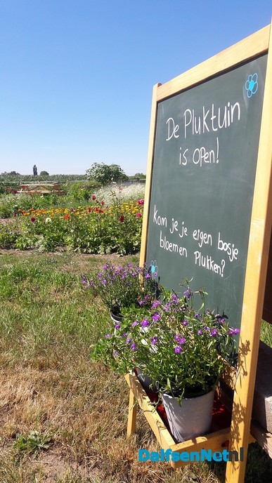 Pluktuin en maisdoolhof bij De Dolle Deel - Foto: Wim