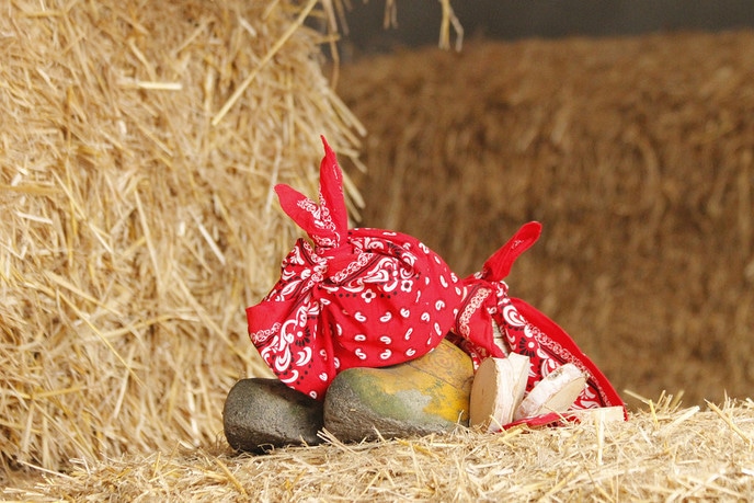 Boerderij-Verwendag: Laat je verwennen - Foto: Eigen geleverde foto