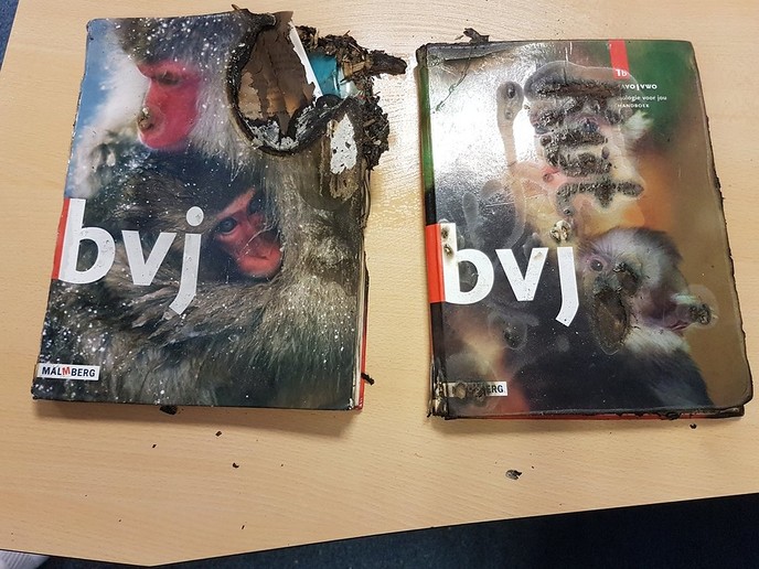 Einde schooljaar: boeken in de fik - Foto: Politie