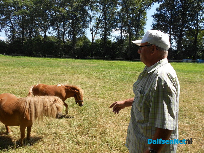 De mooiste hobby van Herman Pot: Pony’s