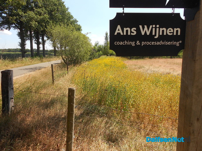 Ans van de Tibbensteeg ingegroeid in bloemetjes