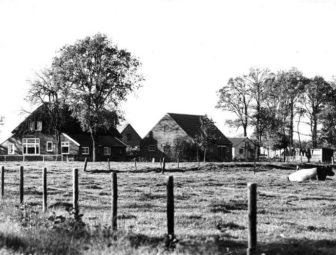 Uniek document - Foto: Eigen geleverde foto