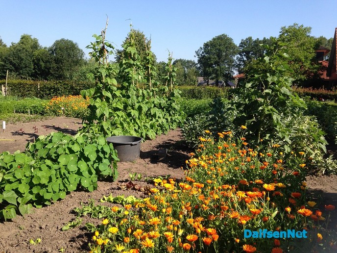 Zomertijd op de Lindehoeve - Foto: Ingezonden foto