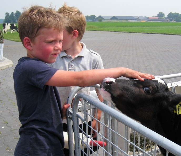 Openingsweekend ‘Op ons Boerenerf’ - Foto: Eigen geleverde foto