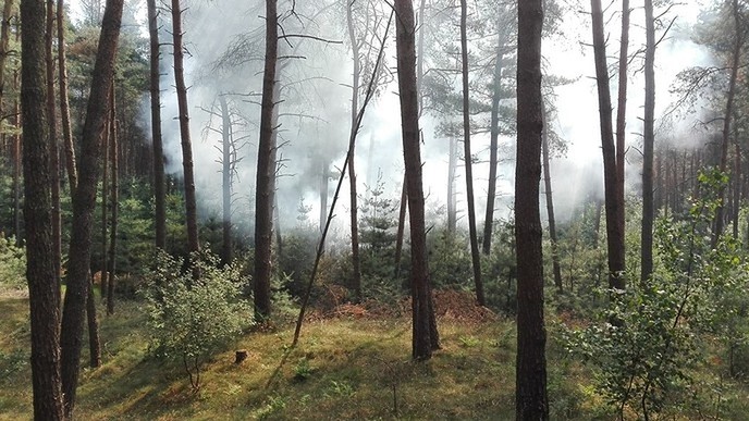 Brandweer moest weer op pad - Foto: Eigen geleverde foto