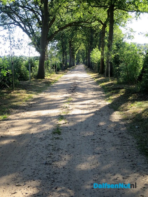 Den Aalshorst ligt er weer strak geschoren bij - Foto: Wim