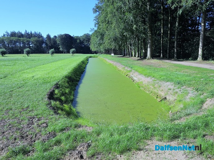 Den Aalshorst ligt er weer strak geschoren bij - Foto: Wim