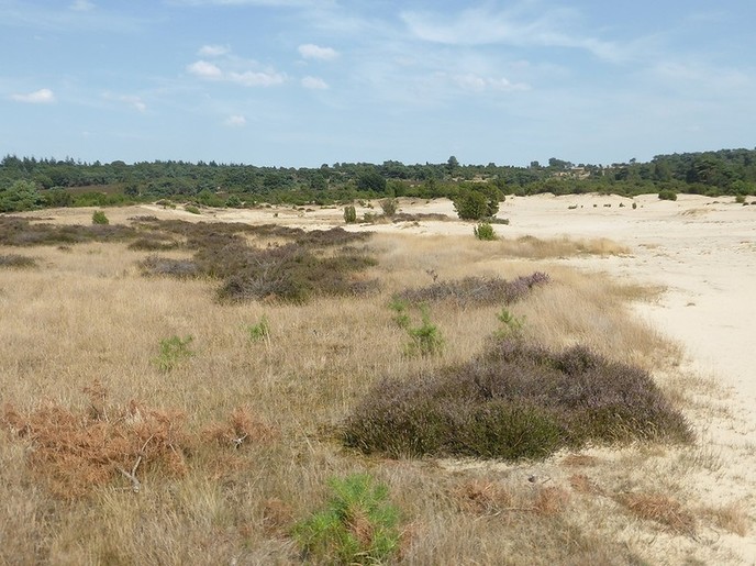 OpStap op de Lemelerberg - Foto: Eigen geleverde foto