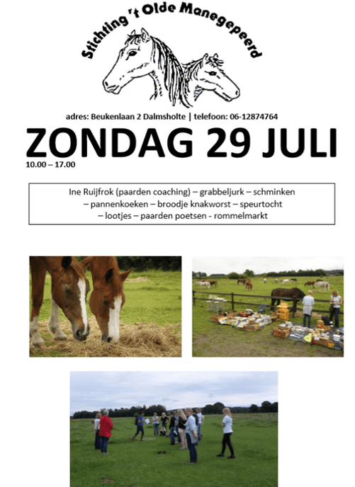 Paardenliefhebbers nieuws - Foto: Eigen geleverde foto