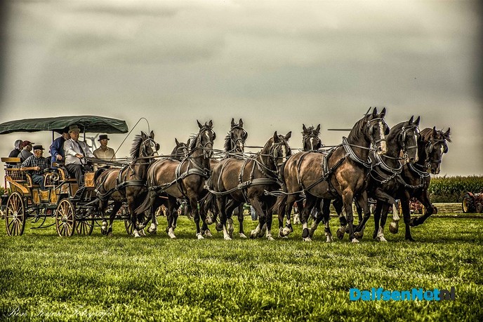 Oogstdag op Kampereiland met ons eigen dorsvereniging Sterrebos - Foto: Ingezonden foto